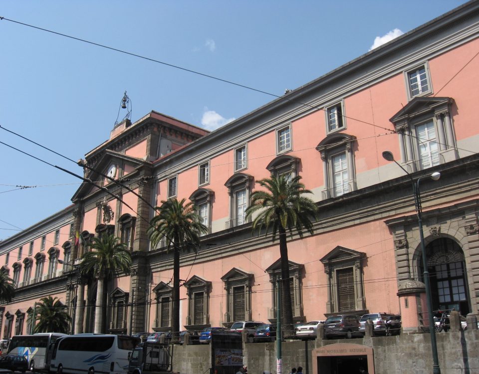 Il Museo Archeologico di Napoli